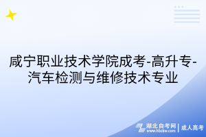 咸寧職業(yè)技術(shù)學(xué)院成考-高升專-汽車檢測(cè)與維修技術(shù)專業(yè)