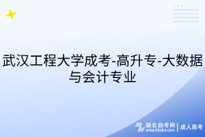 武漢工程大學(xué)成考-高升專-大數(shù)據(jù)與會計(jì)專業(yè)
