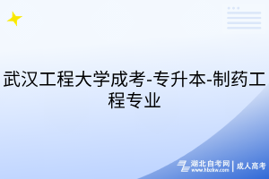 武漢工程大學(xué)成考-專升本-制藥工程專業(yè)