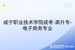 咸寧職業(yè)技術(shù)學(xué)院成考-高升專-電子商務(wù)專業(yè)