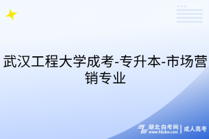武漢工程大學(xué)成考-專升本-市場營銷專業(yè)