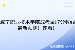 咸寧職業(yè)技術(shù)學(xué)院成考錄取分?jǐn)?shù)線最新預(yù)測(cè)！速看！