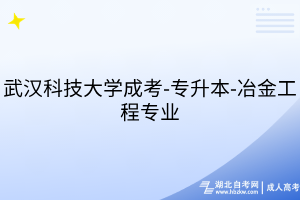 武漢科技大學(xué)成考-專升本-冶金工程專業(yè)