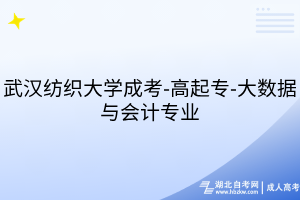 武漢紡織大學(xué)成考-高起專-大數(shù)據(jù)與會計專業(yè)