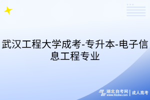 武漢工程大學(xué)成考-專升本-電子信息工程專業(yè)