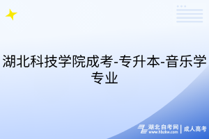 湖北科技學(xué)院成考-專升本-音樂(lè)學(xué)專業(yè)