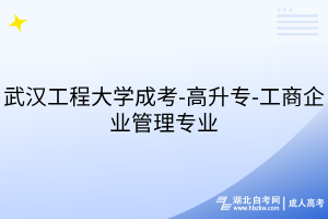 武漢工程大學(xué)成考-高升專-工商企業(yè)管理專業(yè)