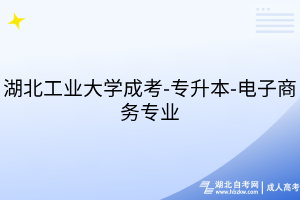 湖北工業(yè)大學(xué)成考-專升本-電子商務(wù)專業(yè)