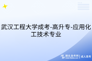武漢工程大學(xué)成考-高升專-應(yīng)用化工技術(shù)專業(yè)