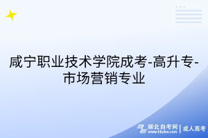 咸寧職業(yè)技術(shù)學院成考-高升專-市場營銷專業(yè)