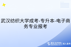 武漢紡織大學(xué)成考-專升本-電子商務(wù)專業(yè)報考
