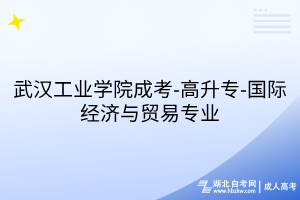 武漢工業(yè)學(xué)院成考-高升專-國(guó)際經(jīng)濟(jì)與貿(mào)易專業(yè)