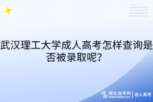 武漢理工大學(xué)成人高考怎樣查詢是否被錄取呢？