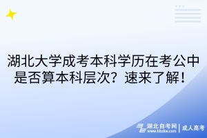 湖北大學(xué)成考本科學(xué)歷在考公中是否算本科層次？速來了解！