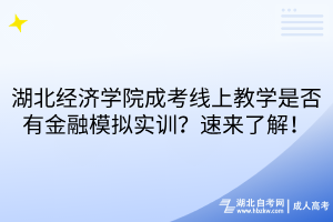 湖北經濟學院成考線上教學是否有金融模擬實訓？速來了解！