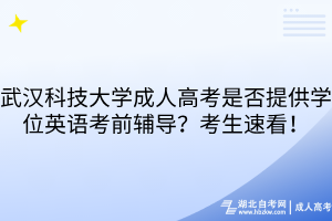 武漢科技大學(xué)成人高考是否提供學(xué)位英語考前輔導(dǎo)？考生速看！