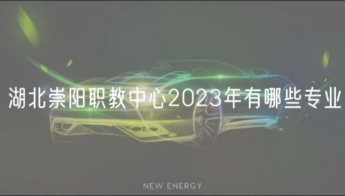 湖北崇陽(yáng)職教中心2023年有哪些專(zhuān)業(yè)