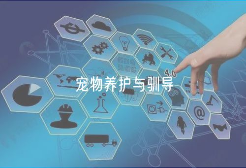 寵物養(yǎng)護(hù)與馴導(dǎo) 寵物養(yǎng)護(hù)與馴導(dǎo)