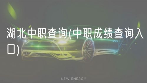 湖北中職查詢(中職成績(jī)查詢?nèi)肟?