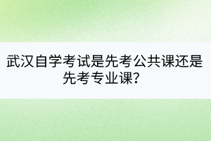 武漢自學考試是先考公共課還是先考專業(yè)課？