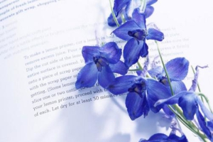 武漢紡織大學2017年成人高考招生簡章