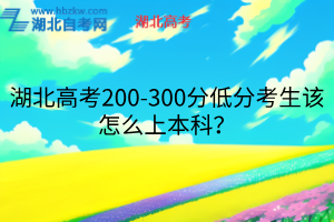 湖北高考200-300分低分考生該怎么上本科？