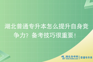 湖北普通專升本怎么提升自身競爭力？備考技巧很重要！