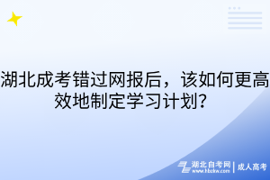 湖北成考錯(cuò)過(guò)網(wǎng)報(bào)后，該如何更高效地制定學(xué)習(xí)計(jì)劃？