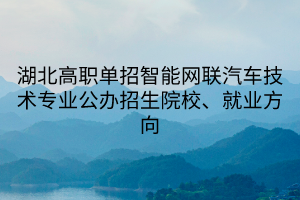 湖北高職單招智能網(wǎng)聯(lián)汽車技術(shù)專業(yè)公辦招生院校、就業(yè)方向