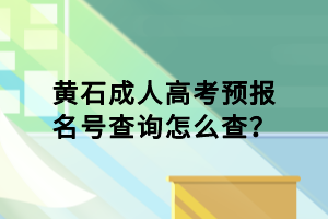 黃石成人高考預(yù)報名號查詢怎么查？