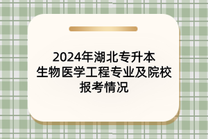 2024年湖北專升本生物醫(yī)學(xué)工程專業(yè)及院校報(bào)考情況