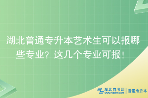 湖北普通專升本藝術生可以報哪些專業(yè)？這幾個專業(yè)可報！