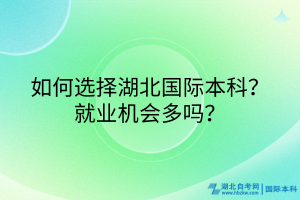 如何選擇湖北國際本科？就業(yè)機會多嗎？