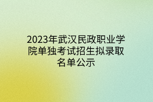 2023年武漢民政職業(yè)學院單獨考試招生擬錄取名單公示