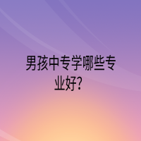 男孩中專學(xué)哪些專業(yè)好？