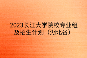 2023長(zhǎng)江大學(xué)院校專業(yè)組及招生計(jì)劃（湖北省）