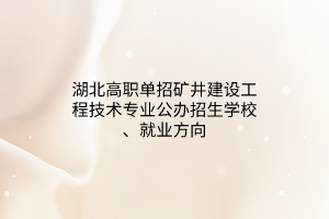 湖北高職單招礦井建設(shè)工程技術(shù)專業(yè)公辦招生學(xué)校、就業(yè)方向