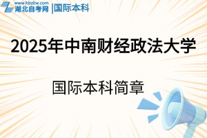  2025年中南財經(jīng)政法大學(xué)國際本科招生簡章