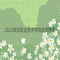 2023武漢職業(yè)技術(shù)學(xué)院招生簡(jiǎn)章