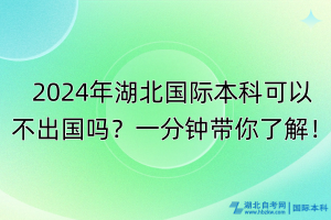 2024年湖北國(guó)際本科可以不出國(guó)嗎？一分鐘帶你了解！