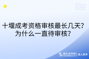 十堰成考資格審核最長幾天？為什么一直待審核？