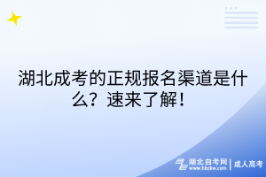 湖北成考的正規(guī)報(bào)名渠道是什么？速來了解！