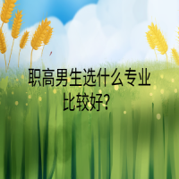 職高男生選什么專業(yè)比較好？