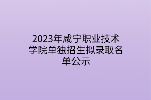 2023年咸寧職業(yè)技術學院單獨招生擬錄取名單公示
