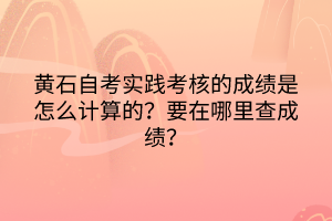 黃石自考實(shí)踐考核的成績怎么計(jì)算的？要在哪里查成績？