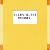 武漢東新電子技工學校有哪些資助政策？