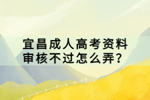 宜昌成人高考資料審核不過怎么弄？