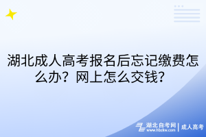 湖北成人高考報(bào)名后忘記繳費(fèi)怎么辦？網(wǎng)上怎么交錢？