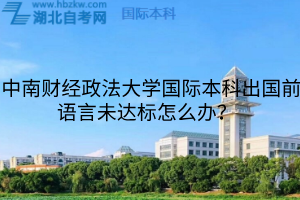 中南財(cái)經(jīng)政法大學(xué)國際本科出國前語言未達(dá)標(biāo)怎么辦？  