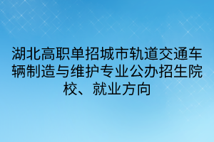 湖北高職單招城市軌道交通車輛制造與維護(hù)專業(yè)公辦招生院校、就業(yè)方向